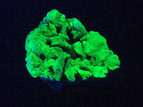 Lamellar Autunite / Meta-Autunite on Matrix ~ Fluorescent Uranium Ore,  30 Grams