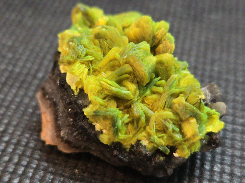 21 Gram Autunite on Quartz under indoor light