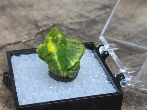 4.8 Gram green Lamellar Autunite Crystal displayed in Perky Box under outdoor light