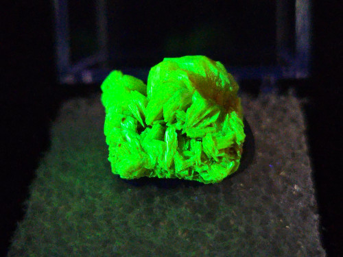 2.7 Gram Autunite Crystal Formation in Perky Box under 365nm UV light