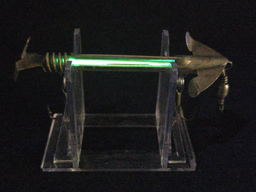 Glowbody Minnow on display under indoor light