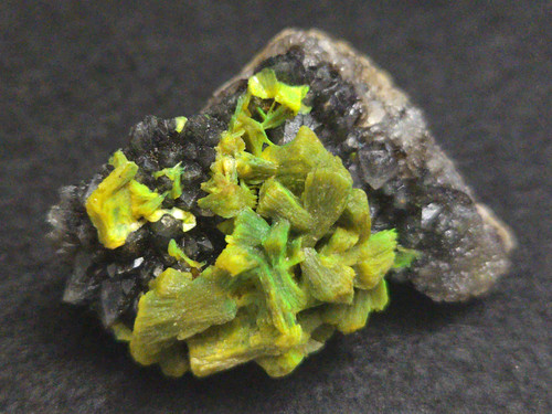 green autunite on black quartz matrix under indoor light