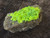 Autunite on Matrix Mini-Cabinet Specimen under outdoor light showing daytime fluorescence