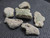 six piece Trinitite lot on display under indoor light