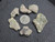 six piece Trinitite lot on display under indoor light size comparison to steel penny top view