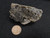 autunite on Matrix Mini-Cabinet Specimen on display under indoor light size comparison to penny bottom view