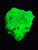 Autunite Crystal Formation in perky box under 365nm UV light