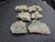 Trinitite lot 17 Grams, 6 Pieces