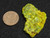 8 gram autunite crystal formation under indoor light size comparison to copper penny bottom view