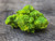Lamellar Autunite / Meta- Autunite Crystal  - Fluorescent Uranium Ore, 30 Grams