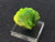 Lamellar Autunite Crystal – Fluorescent Uranium Ore, 10 Grams