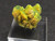 4.6 Autunite Crystal on display under indoor light