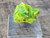 4.6 Autunite Crystal on display under outdoor light