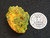 20 Gram Lamellar Autunite crystal formation on display under indoor light size comparison to silver quarter rearview