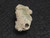 2.4 Gram Trinitite specimen under indoor light