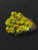 Lamellar Autunite / Meta-Autunite on Matrix ~ Fluorescent Uranium Ore,  30 Grams