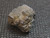 61 gram galena crystal formation under indoor light