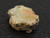 2.7 Gram Trinitite (Atomic Bomb Glass) specimen with red tinge under indoor light