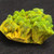 26.7  Gram Lamellar Autunite Crystal under indoor light