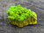 26.7  Gram Lamellar Autunite Crystal under outdoor light