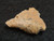 1.7 gram Trinitite (Atomic Bomb Glass) specimen under indoor light