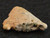 1.7 gram Trinitite (Atomic Bomb Glass) specimen under indoor light