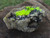 Autunite on Matrix Cabinet Specimen ~ Fluorescent Uranium Ore under outdoor light showing brilliant daytime fluorescence