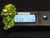 15 Gram Autunite Crystal Formation under indoor light being measured by the Radiacode 101