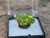 4.8 Gram green Lamellar Autunite Crystal displayed in Perky Box under outdoor light