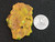 Lamellar Autunite Crystal - Fluorescent Uranium Ore, 25 Grams under indoor light size comparison to quarter coin tails