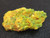 Lamellar Autunite Crystal - Fluorescent Uranium Ore, 25 Grams under indoor light