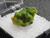 Lamellar Autunite Crystal in Perky Box, 3.6 Grams – Fluorescent Uranium Ore under indoor light