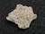 Trinitite (Atomic Bomb Glass), Trinity Site, New Mexico, July 16, 1945 - 1.6 Grams