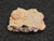 Trinitite (Atomic Bomb Glass),  Trinity Site, New Mexico, July 16, 1945 - 1.1 Grams