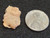 Trinitite (Atomic Bomb Glass),  Trinity Site, New Mexico, July 16, 1945 - 1.1 Grams