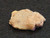Trinitite (Atomic Bomb Glass),  Trinity Site, New Mexico, July 16, 1945 - 1.1 Grams