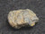 Uraninite - Deer Park Mine, North Carolina, USA - 2.1 Grams under indoor light