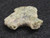 1.1 Gram Trinitite sample displayed under indoor light