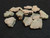Trinitite lot 30 Grams, 11 Pieces -(Atomic Bomb Glass),  Trinity Site, New Mexico, July 16, 1945