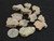 Trinitite lot 30 Grams, 11 Pieces -(Atomic Bomb Glass),  Trinity Site, New Mexico, July 16, 1945