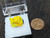 2.7 Gram Autunite Crystal Formation in Perky Box under outdoor light size comparison to copper penny top view