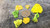 7 Piece Autunite Lot under outdoor light demonstrating daytime fluorescence