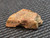 Gadolinite-(y) crystal twin under indoor light