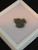 black and green Torbernite under indoor light seen in labeled display case