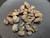 brown metamict Gadolinite-(y) Crystals 1 to 5mm in size on display on a watch glass under indoor light