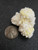 Yellow Boltwoodite on white botryoidal gypsum under indoor light size comparison to copper penny top view