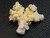 yellow boltwoodite on white gypsum matrix under indoor light