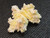 yellow boltwoodite on white gypsum matrix under indoor light