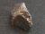 Columbite-(Fe)  - Petaca Mining District, New Mexico, USA - Niobium Ore