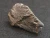Columbite-(Fe)  - Petaca Mining District, New Mexico, USA - Niobium Ore